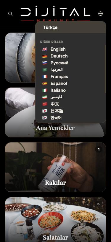 Dil seçimi